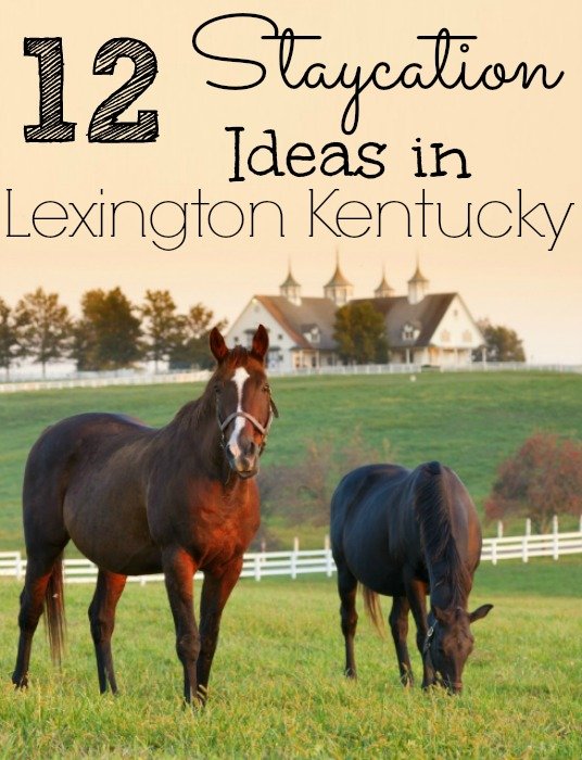 12 Staycation Ideas in Lexington Kentucky