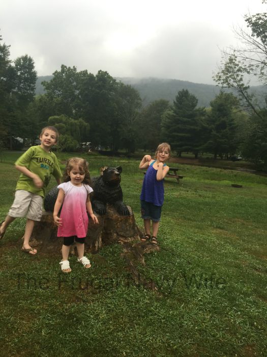 Mountain Creek Campground Gardners, PA Review