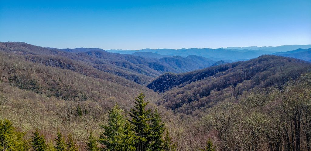 Newfound Gap Road