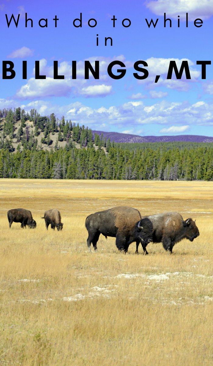 Staycation Ideas – Things to do in Billings MT