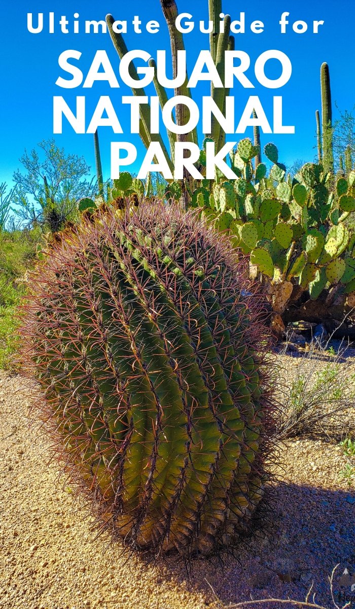 Saguaro National Park Arizona is home to the nation’s biggest cacti. Take a ride with me on a virtual tour of this National Park. #nationalpark #saguaronationalpark #arizona #ourroaminghearts | National Parks | Arizona National Parks | Saguaro National Park | Arizona Hiking Trails