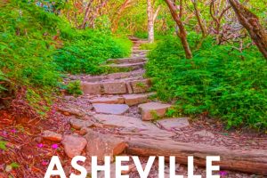 If you are a nature lover you will love Asheville, NC. Majestic waterfalls, picturesque valleys, and lush forests. Use this Asheville outdoors guide. #asheville #northcarolina #nature #outdoors | North Carolina Nature Guide | Asheville Guide | Nature Lover Guide for Asheville |