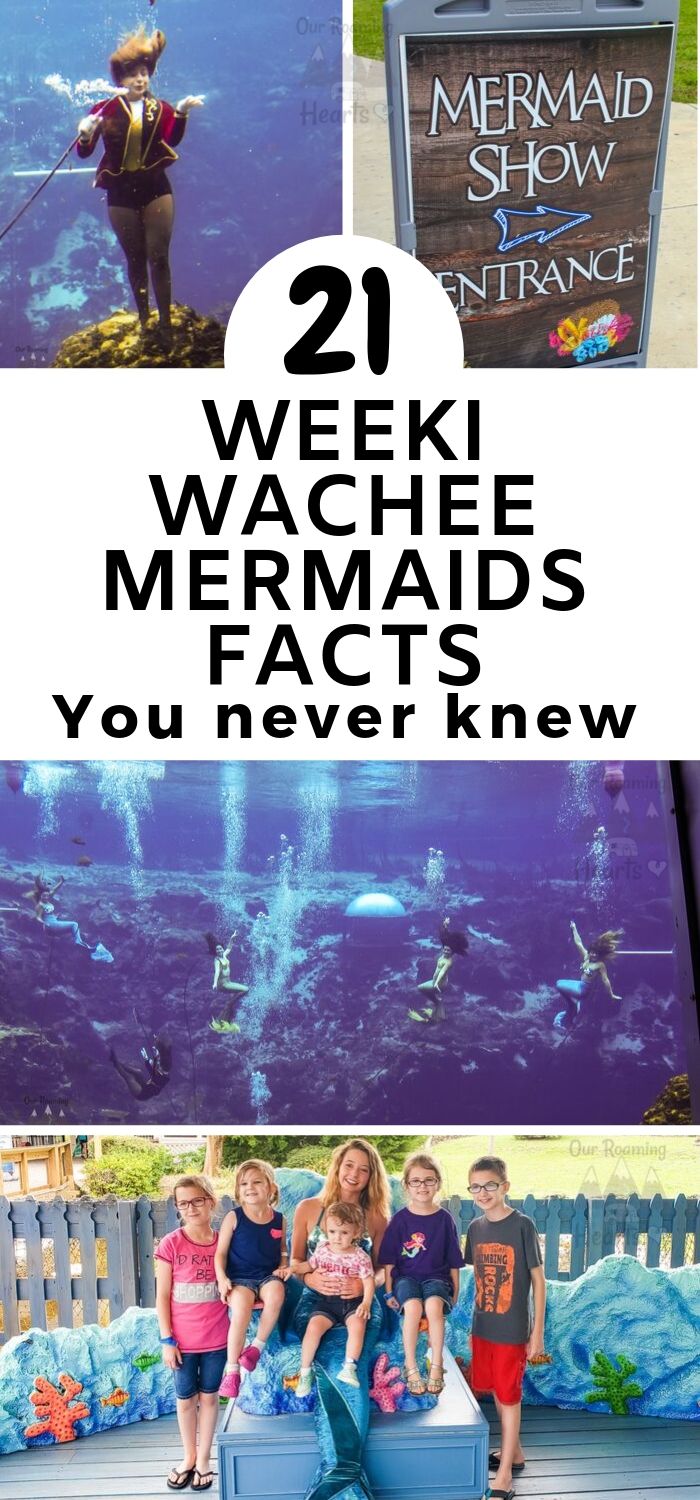 21 Weeki Wachee Mermaids Facts You Never Knew! Our Roaming Hearts