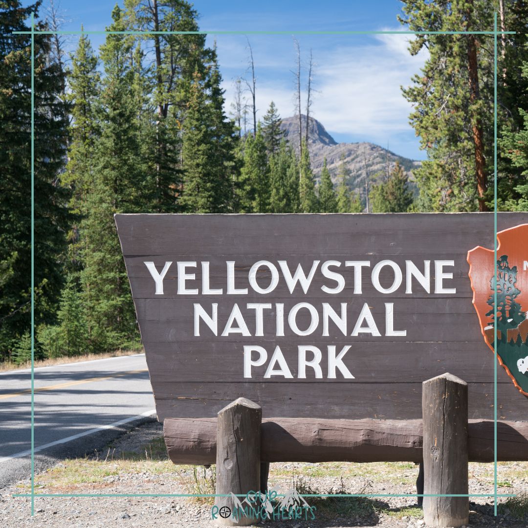 Breathtaking Yellowstone Scenic Drives – Yellowstone National Park