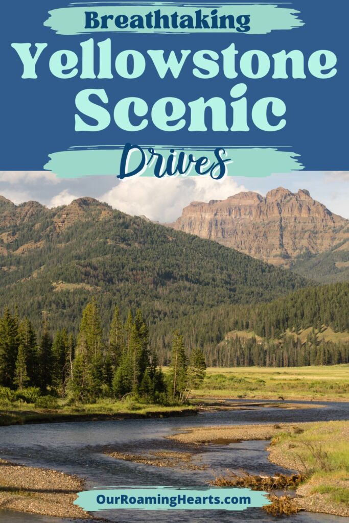 Yellowstone National Park is a beautiful park filled with wildlife and epic views. Here are some of the best Yellowstone Scenic Drives to take. #ourroaminghearts #yellowstone #wyoming #scenicdrives #nationalpark | Wyoming | National Parks | Yellowstone National Park | Scenic Drives | Yellowstone Scenic Drives