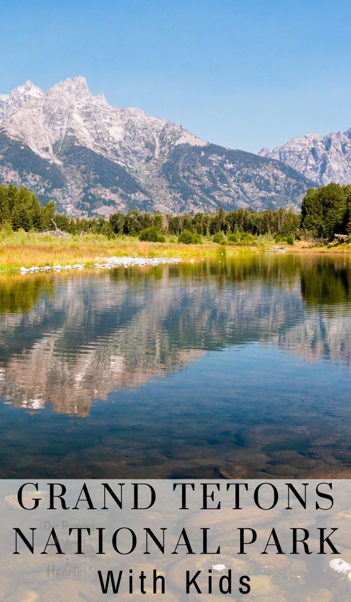 Planning a trip to the Grand Tetons National Park with your kids? Take a look at 12 safety and fun tips to make sure everyone has an awesome time.  #ourraminghearts #grandtetons #nationalpark #travelingwithkids #grandtetonsnationalpark #wyoming | Grand Tetons National Park | National Parks | Wyoming Travel | Traveling with Kids | Family Travel | Grand Tetons