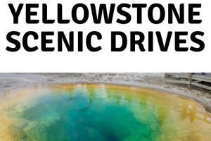 Yellowstone National Park is a beautiful park filled with wildlife and epic views. Here are some of the best Yellowstone Scenic Drives to take. #ourroaminghearts #yellowstone #wyoming #scenicdrives #nationalpark | Wyoming | National Parks | Yellowstone National Park | Scenic Drives | Yellowstone Scenic Drives