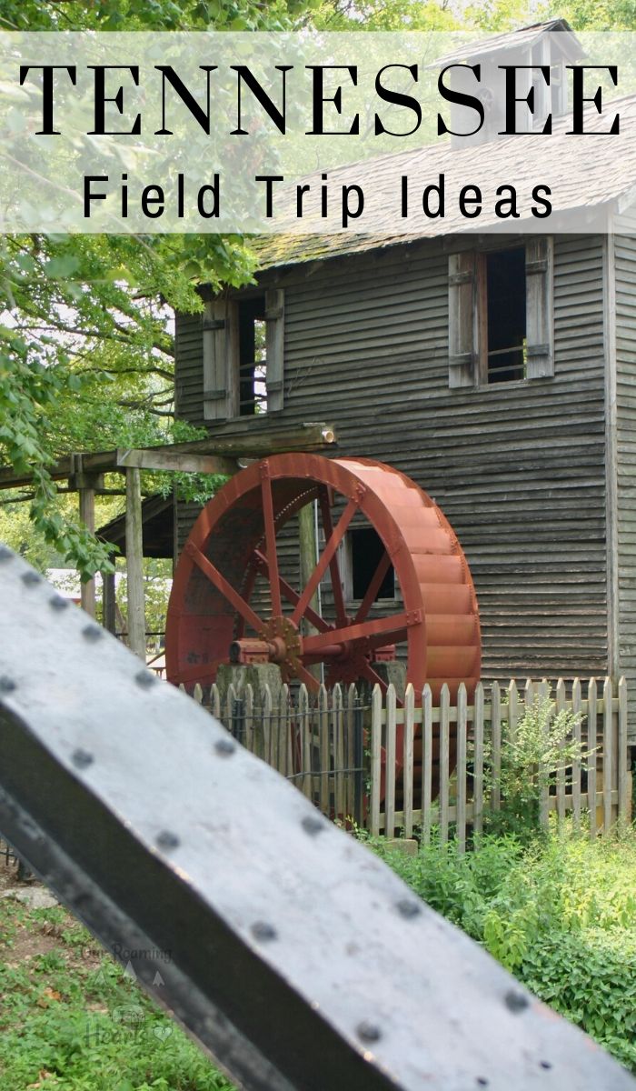 Over 45 Amazing Tennessee Field Trips