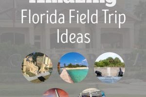 Going on field trips is the highlight of any homeschool kids' day. Here are over 130+ Top Florida field trip ideas the whole family will love. #ourroaminghearts #florida #roadschooling #homeschooling #fieldtricps #floridaunitstudy | Florida Unit Study | Florida Field Trip Ideas | Roadschooling | Homeschooling Ideas |