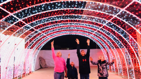 Christmas at Schnepf Farms is truly a winter wonderland that will leave you speechless and provide you with some of the best memories. #christmas #ourroaminghearts #schnepffarms #christmaslights #arizona | Arizona Christmas Lights | Schnepf Farms | Christmas Lights | Family Christmas Fun | Arizona |