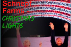 Christmas at Schnepf Farms is truly a winter wonderland that will leave you speechless and provide you with some of the best memories. #christmas #ourroaminghearts #schnepffarms #christmaslights #arizona | Arizona Christmas Lights | Schnepf Farms | Christmas Lights | Family Christmas Fun | Arizona |