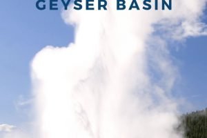 The Old Faithful Geyser Basin will not disappoint. When you head here, you are seeing some of the greatest nature scapes in all the world. #travel #oldfaithful #budgettravel #ourroaminghearts | Homeschooling | Yellowstone | Geyser Basin | Traveling with Kids | Frugal Travel | Free Things to Do