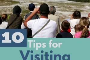 Heading to Yellowstone soon? Here are 10 Tips for Visiting Yellowstone National Park with Children! You'll love knowing these tips. #yellowstone #vacation #yellowstonenationalpark #travel #travelingwithkids #nationalpark #nature | Yellowstone | Vacationing | Yellowstone National Park | Traveling with Kids | Frugal Travel | Vacationing with Kids | Homeschool | Traveling Tips |