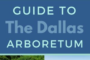 The Dallas Arboretum is a great place to visit especially if it's your first time, there is so much to see and do it'll keep you busy all day. #dallas #arboretum #vacation #travel #ourroaminghearts #texas | The Dallas Arboretum | Texas | Traveling With Kids | Family Vacation | Things To Do |
