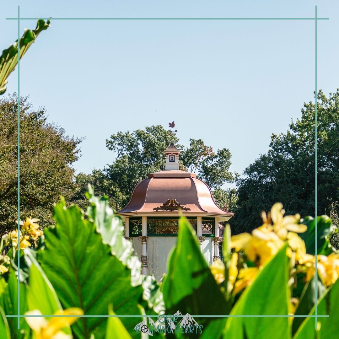 Guide to The Dallas Arboretum
