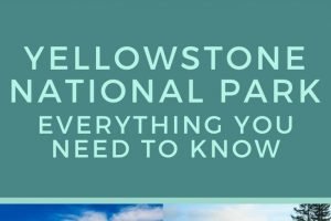 Yellowstone National Park - Everything You Need to Know will help make things less stressful when you're planning this fun trip. #yellowstone #nationalpark #travel #familyvacation #ourroaminghearts | Everything You Need to Know | Yellowstone National Park | Family Vacations | Travel | Planning |